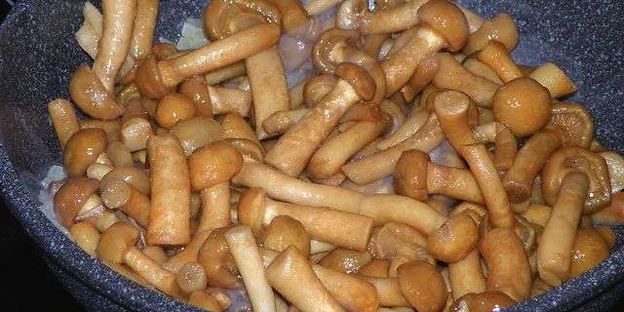 грибной суп из опят