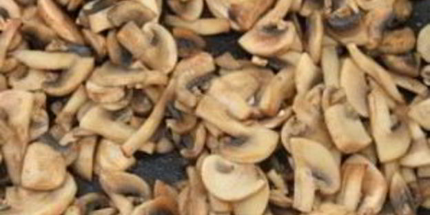 простой грибной суп