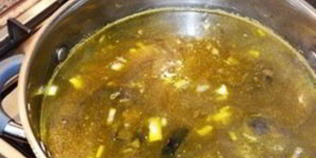 суп из лесных грибов