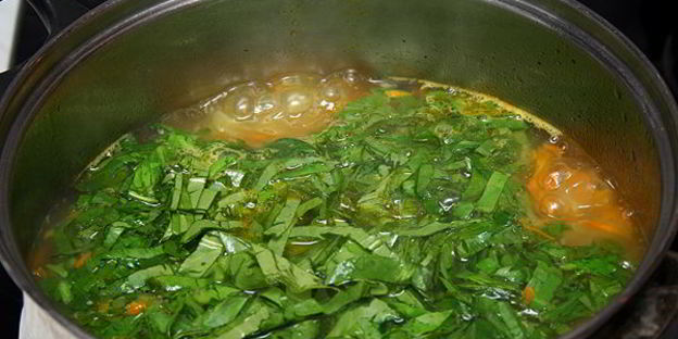 суп из щавеля