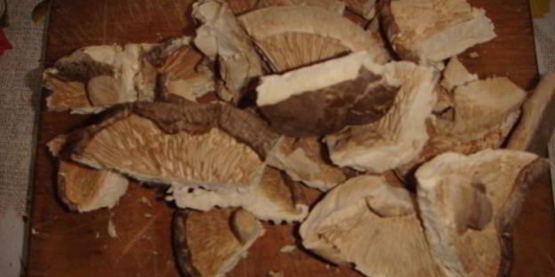 грибной суп-пюре капучино