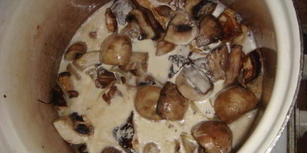 грибной суп-пюре капучино