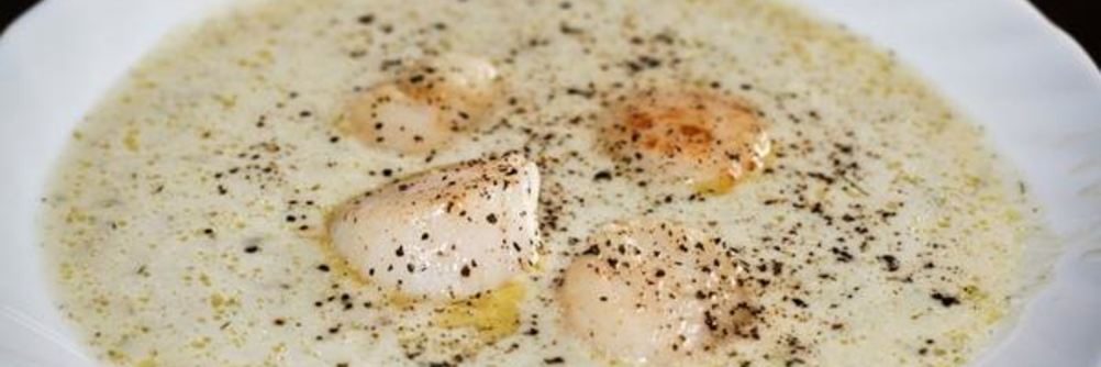 Суп пюре из кольраби с морскими гребешками