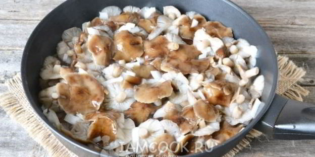 суп-пюре из лесных грибов