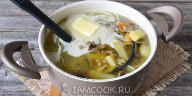 суп-пюре из лесных грибов
