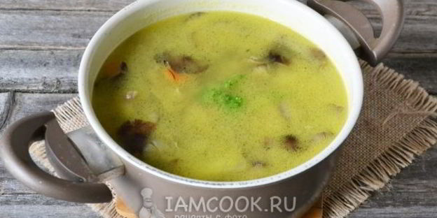 суп-пюре из лесных грибов