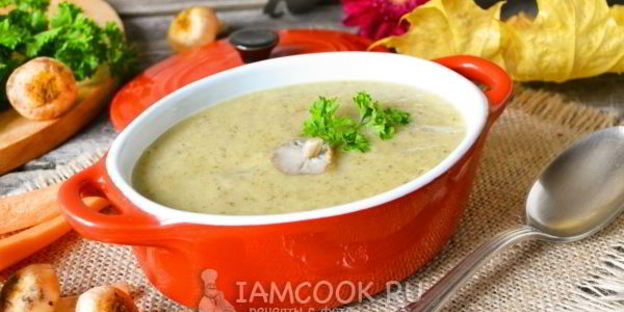 суп-пюре из лесных грибов