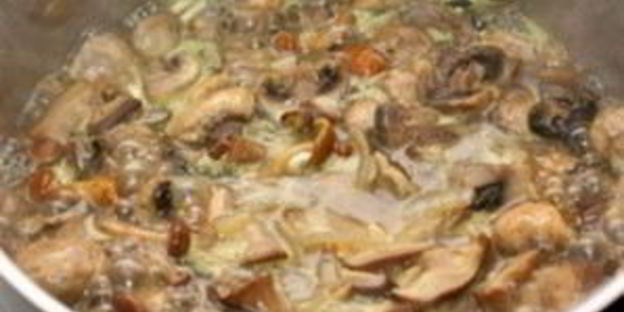 суп-пюре из сушеных грибов