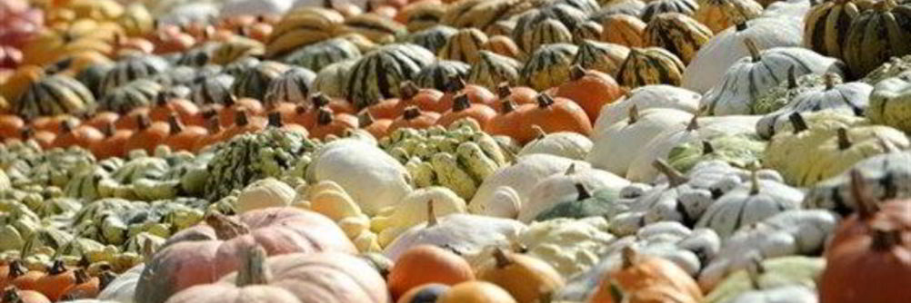 Тыквенный суп-пюре на овощном бульоне с карри