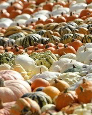 Тыквенный суп-пюре на овощном бульоне с карри