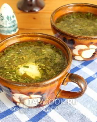 Суп с курицей и щавелем