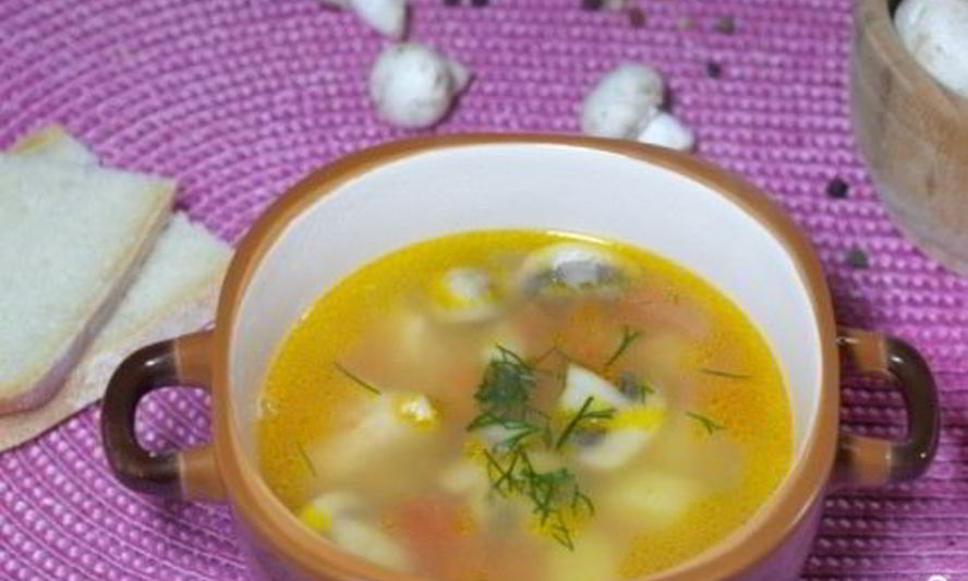 Рецепт супа со свининой и грибами