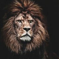 Дашевская Зоя