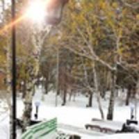 Кислова Маргарита