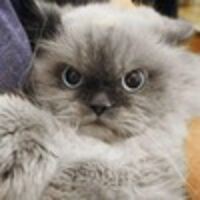 Липатникова Валя