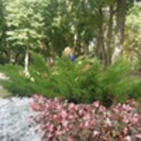 Рита Носаненко