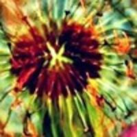 Шонина Тинка