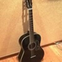 Светлана Толкачева