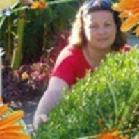 Василиса Стрижак