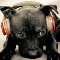 Зулькарняева Анна