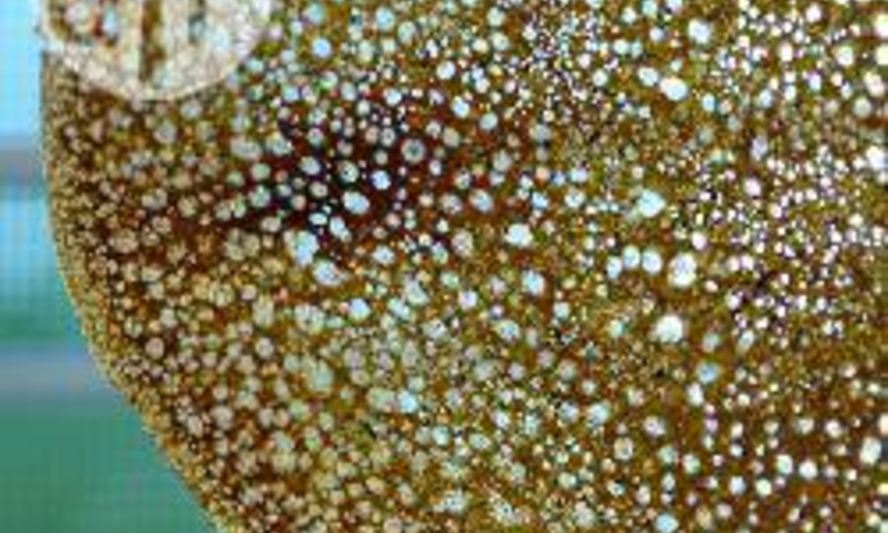 Рецепт блинчиков ажурных