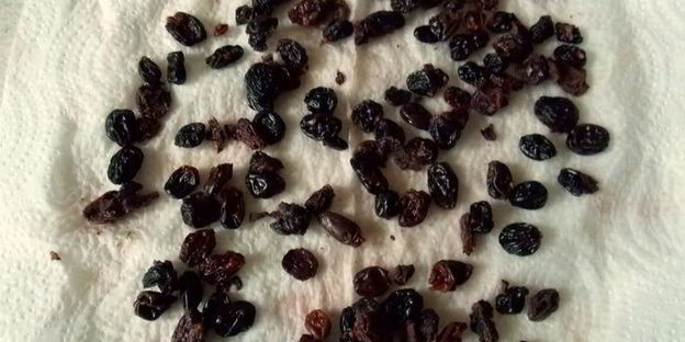 блинчики с творогом, изюмом и апельсиновой цедрой