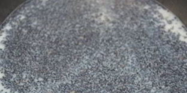 блины с маковой начинкой