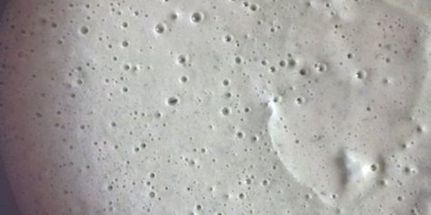 ржаные блинчики на сыворотке со щавелем и петрушкой