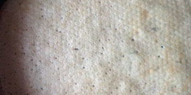 ржаные блинчики на сыворотке со щавелем и петрушкой