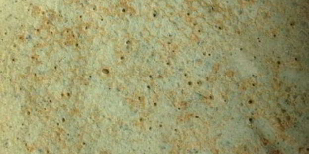 ржаные блинчики на сыворотке со щавелем и петрушкой