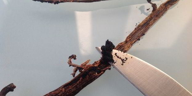 ванильные панкейки