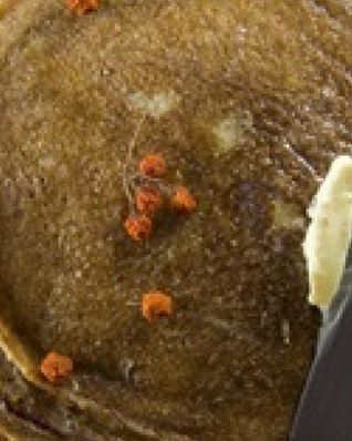 Заварные блины на кефире с яблочным соком