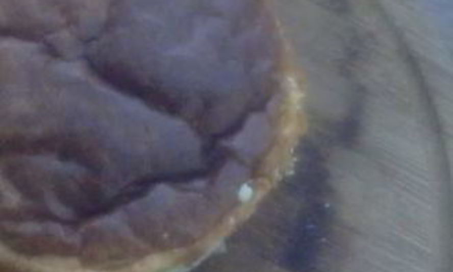 Рецепт чизкейка из белого шоколада