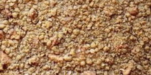 чизкейк с хлопьями и яблоками