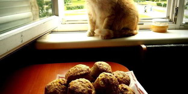 кабачковые кексы с виноградом и семечками