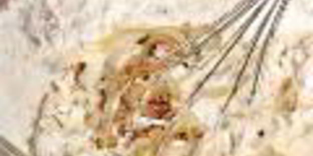 луковый кекс с сыром