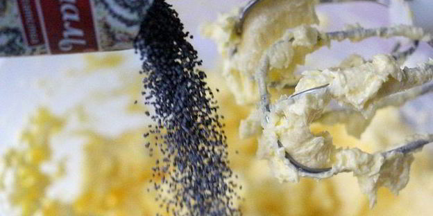 маковые капкейки с изюмом и сливочным кремом