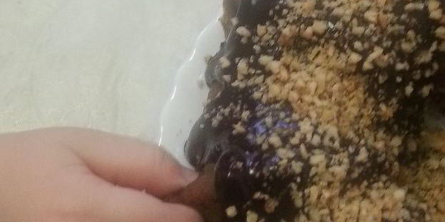 ореховый кекс из цельнозерновой муки 9 минут