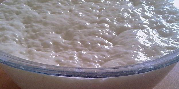 чиабатта сельская аристократка