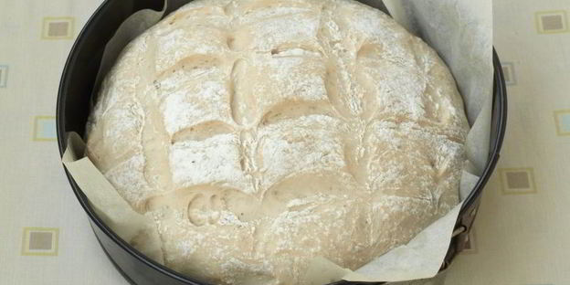 хлеб на оливковом рассоле