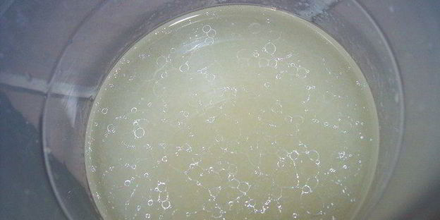 хлеб с сыром и ветчиной