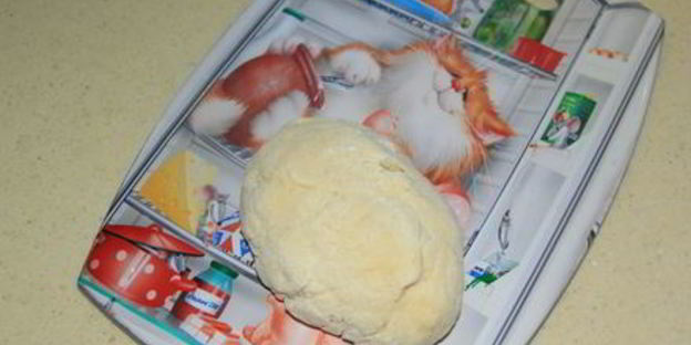 хворост зимние цветы