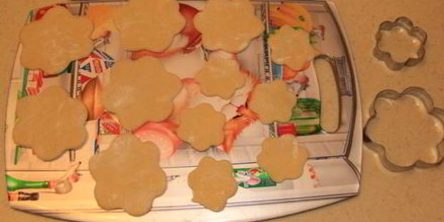 хворост зимние цветы