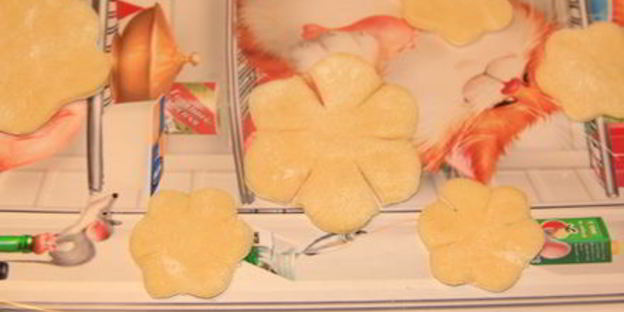 хворост зимние цветы