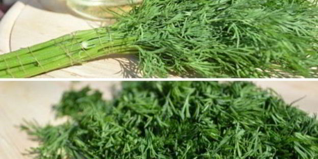 чалпак — узбекские лепешки