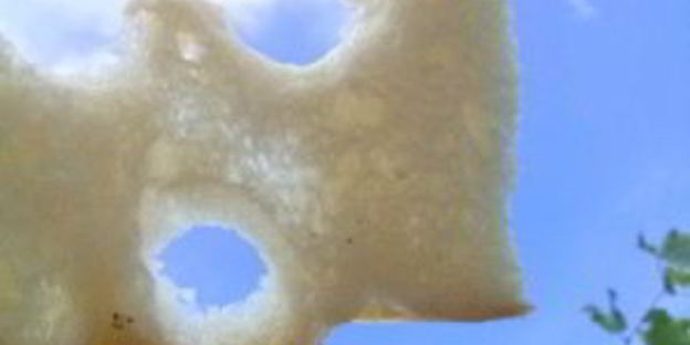 фокачча классическая