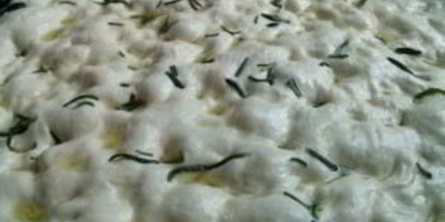 фокачча классическая