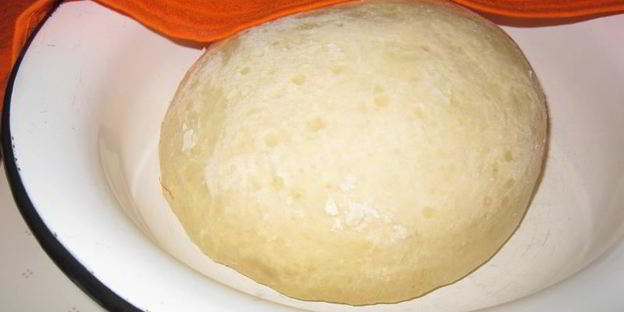 лепешки на дрожжах и сухом молоке