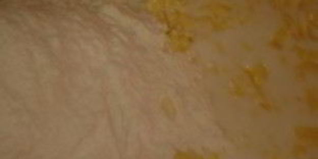 лепешки с ветчиной и сыром