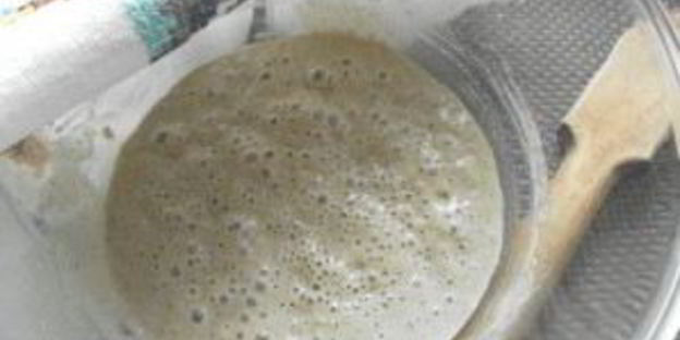 ржаная лепешка